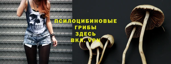 гидропоника Арсеньев