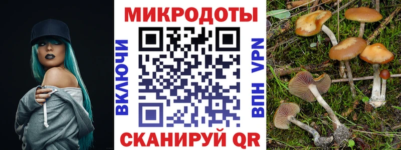 Псилоцибиновые грибы мухоморы  Малая Вишера 