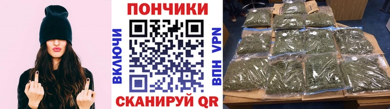 Канабис планчик  как найти закладки  Малая Вишера 